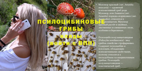ешки Горно-Алтайск