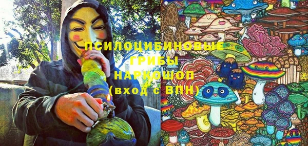 ешки Горно-Алтайск
