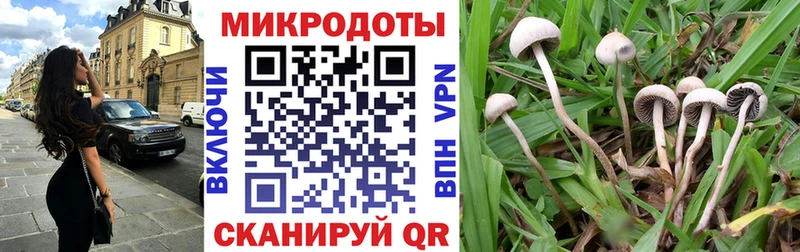 Псилоцибиновые грибы мицелий дарнет шоп Малаховка